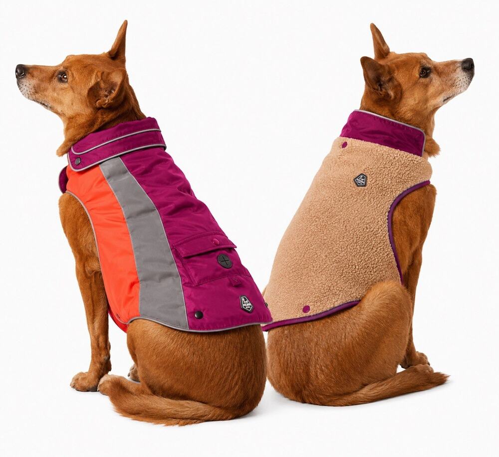 Arcadia Trail XXL Dog Coat Removable Fleece Liner Reflective Water Repel Camping